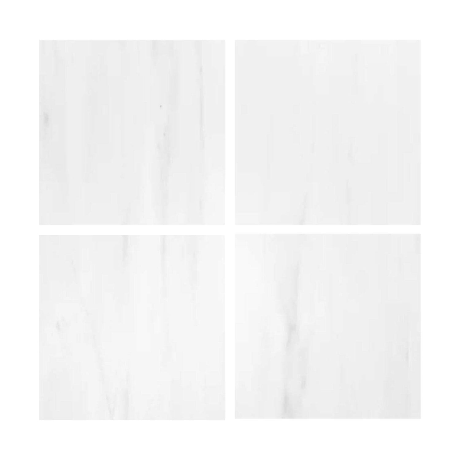 6x6 Bianco Dolomite Polished Tile-American Tile Depot