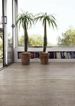 6x36 Selection Oak Grey Matte Wood Look Porcelain Tile-American Tile Depot