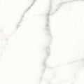 12x24 Calacatta White Matte