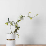 18x36 Extra White Polished Pure Color Look Marble Laminated Porcelain Tile-American Tile Depot