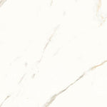 24x24 Trilogy Calacatta White Soft Matte Marble Look Porcelain Tile-American Tile Depot