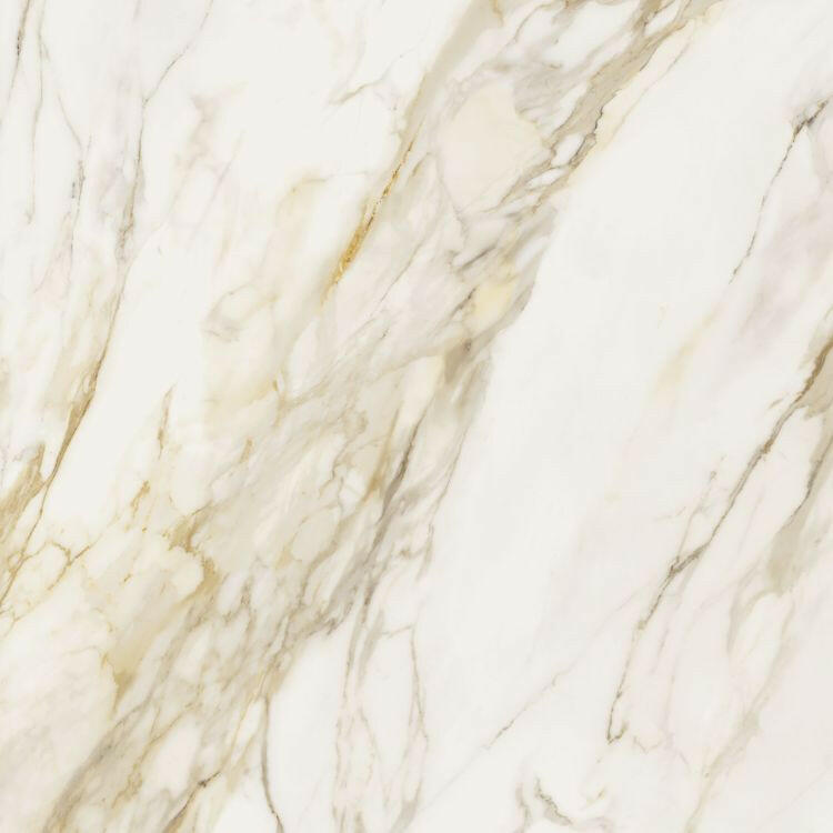 48x48 Etoile Creme Glossy Polished Marble Look Porcelain Tile-American Tile Depot