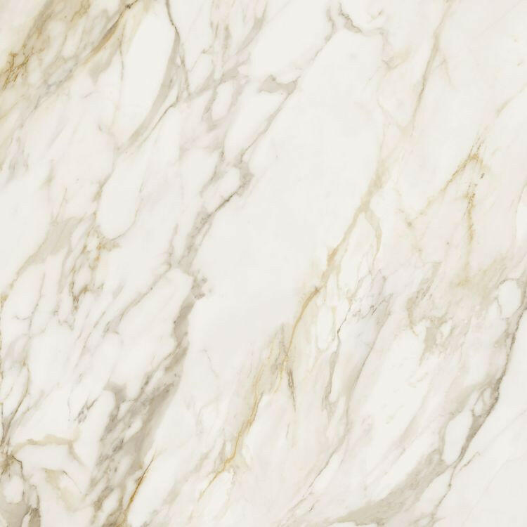 48x48 Etoile Creme Glossy Polished Marble Look Porcelain Tile-American Tile Depot