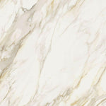 48x48 Etoile Creme Glossy Polished Marble Look Porcelain Tile-American Tile Depot