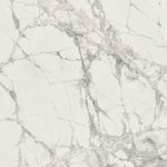 48x48 Prexious Mountain Treasure Glossy Polished Marble Look Porcelain Tile-American Tile Depot