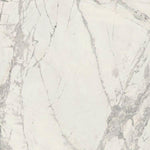 48x48 Prexious Mountain Treasure Glossy Polished Marble Look Porcelain Tile-American Tile Depot
