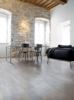 6x36 Taiga Host Matte Wood Look Porcelain Tile-American Tile Depot