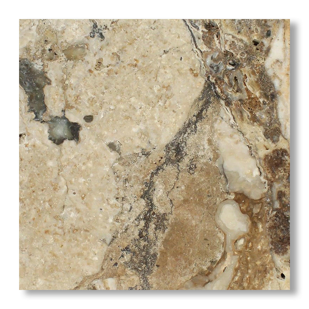 24x24 Philadelphia Travertine Filled & Honed Tile - American Tile Depot