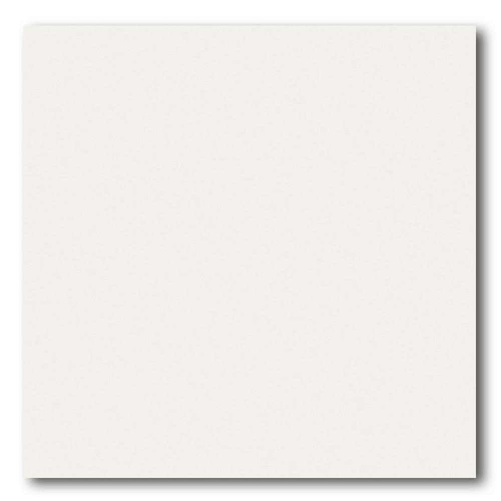 8x8 Scorvex Bianco Matte Solid Color Porcelain Tile 8x8 Scorvex Bianco Matte Solid Color Porcelain Tile - American Tile Depot