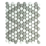 Array Gray & White Porcelain Matte Penny Round Mosaic Tile Array Gray & White Porcelain Matte Penny Round Mosaic Tile - American Tile Depot