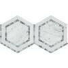 Carrara White Marble Polished 5" Hexagon Combination Mosaic Tile w/ Blue-Gray Border - American Tile Depot
