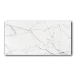 24x48 La Monde Carrara Matte Porcelain Tile - American Tile Depot