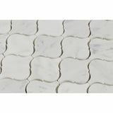 Carrara White Marble Honed Lantern Arabesque Mosaic Tile