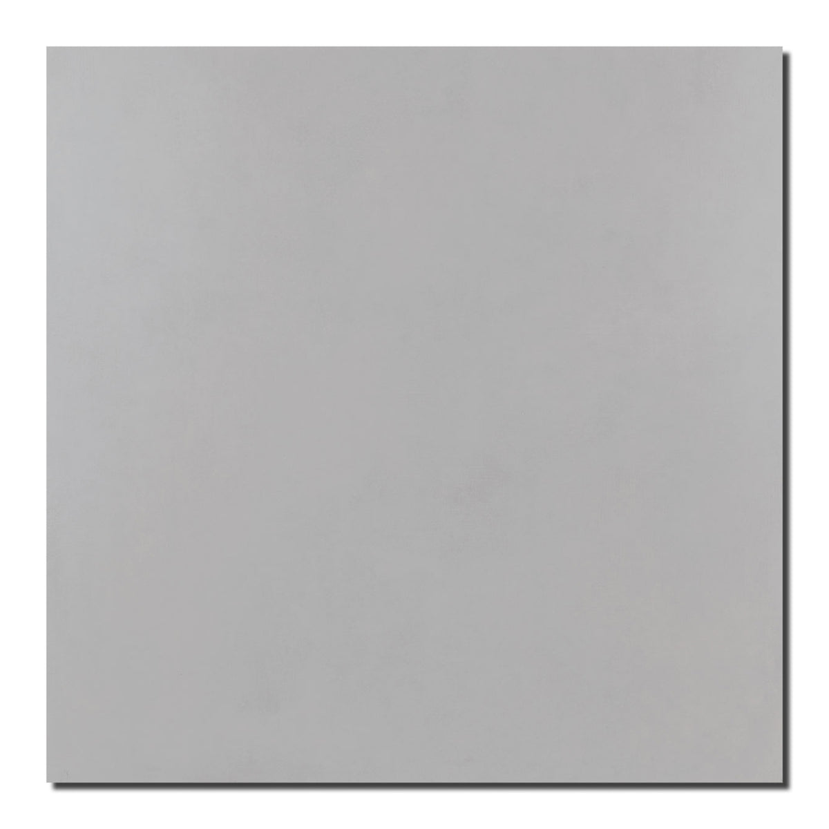 21x21 Basic Cement Unpolished Porcelain Tile - American Tile Depot
