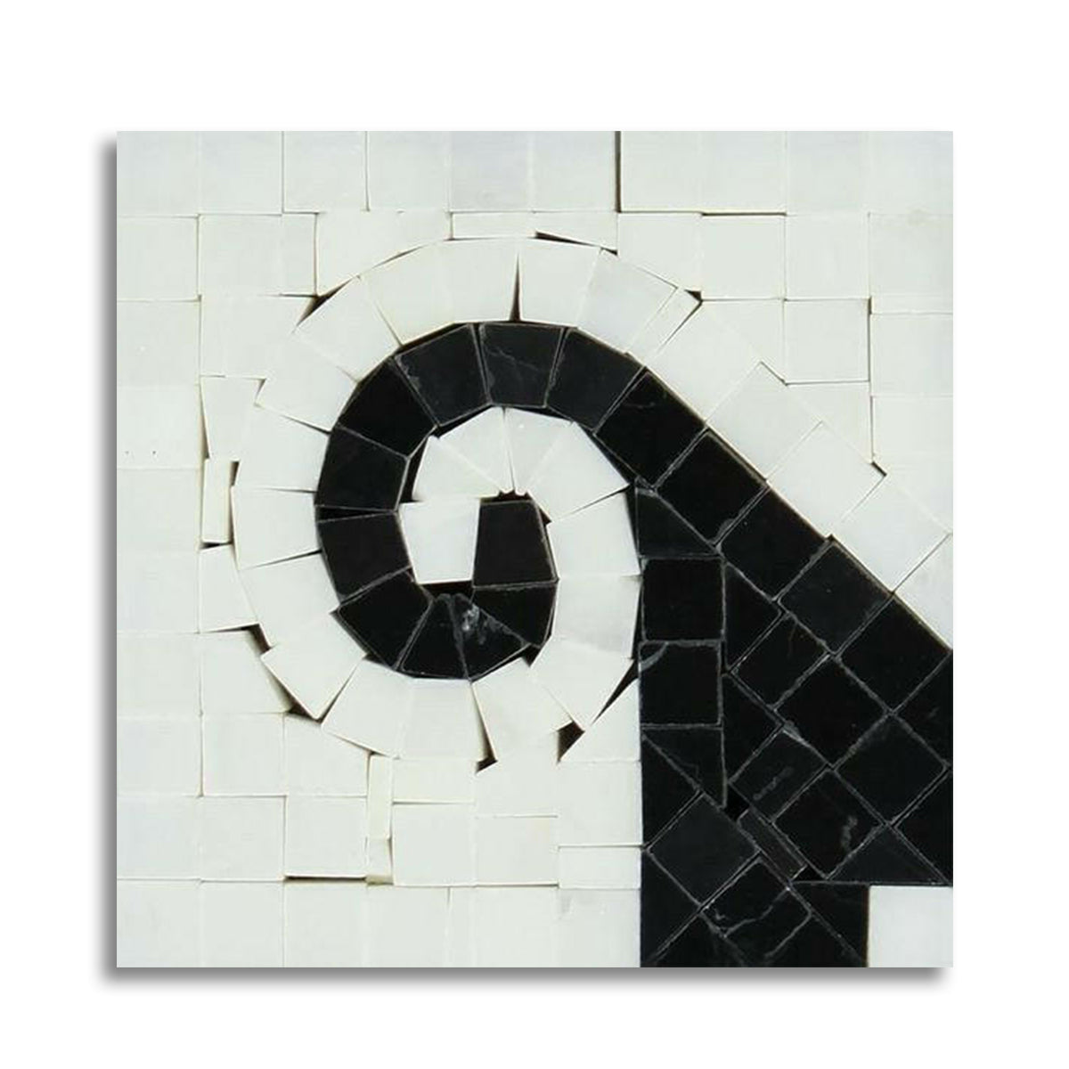 Oriental White Marble Polished Wave Border Corner w/ Black Dots - American Tile Depot