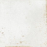 8x8 Perla Bianca Filigrane Glossy Ceramic Wall Tile 8x8 Perla Bianca Filigrane Glossy Ceramic Wall Tile - American Tile Depot