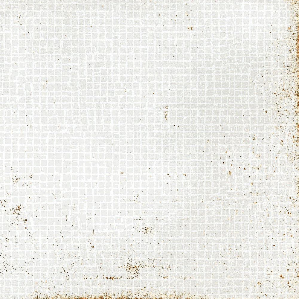 8x8 Perla Bianca Filigrane Glossy Ceramic Wall Tile 8x8 Perla Bianca Filigrane Glossy Ceramic Wall Tile - American Tile Depot