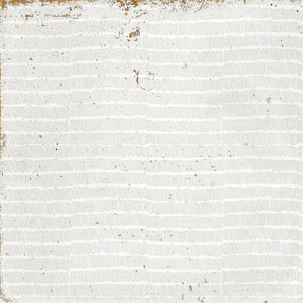 8x8 Perla Bianca Filigrane Glossy Ceramic Wall Tile 8x8 Perla Bianca Filigrane Glossy Ceramic Wall Tile - American Tile Depot