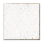 8x8 Perla Bianca Filigrane Glossy Ceramic Wall Tile - American Tile Depot