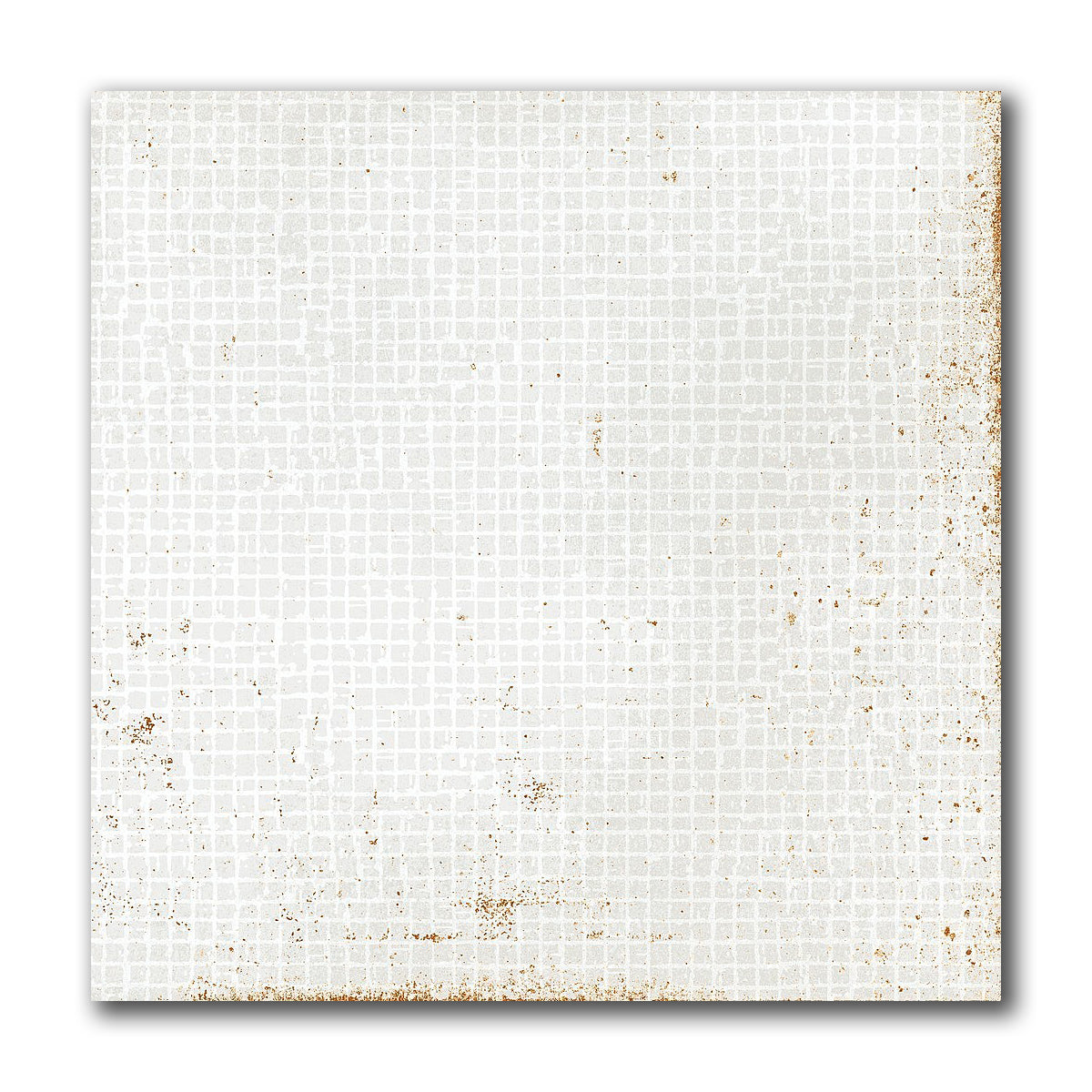 8x8 Perla Bianca Filigrane Glossy Ceramic Wall Tile - American Tile Depot