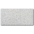 12x24 Flecked