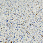 12x24 Terrazzo Flecked Marble Polished Tile - American Tile Depot