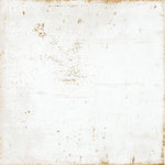 8x8 Perla Bianca Solid Glossy Ceramic Wall Tile 8x8 Perla Bianca Solid Glossy Ceramic Wall Tile - American Tile Depot