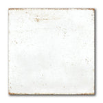 8x8 Perla Bianca Solid Glossy Ceramic Wall Tile - American Tile Depot