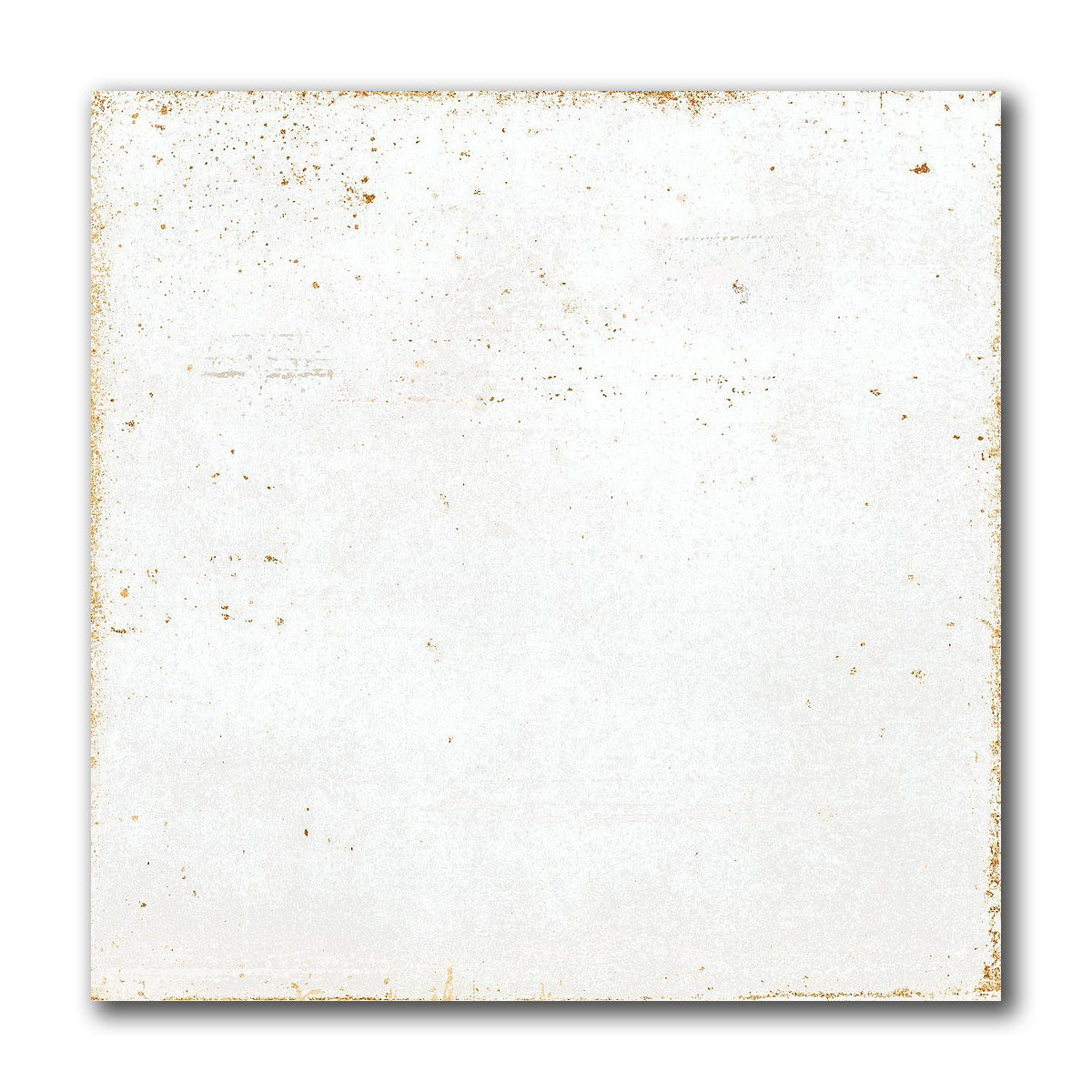 8x8 Perla Bianca Solid Glossy Ceramic Wall Tile - American Tile Depot