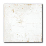 8x8 Perla Bianca Solid Glossy Ceramic Wall Tile - American Tile Depot