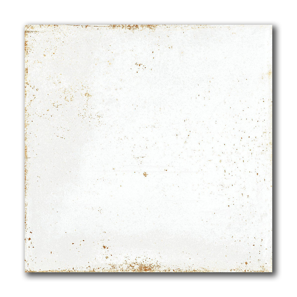 8x8 Perla Bianca Solid Glossy Ceramic Wall Tile - American Tile Depot