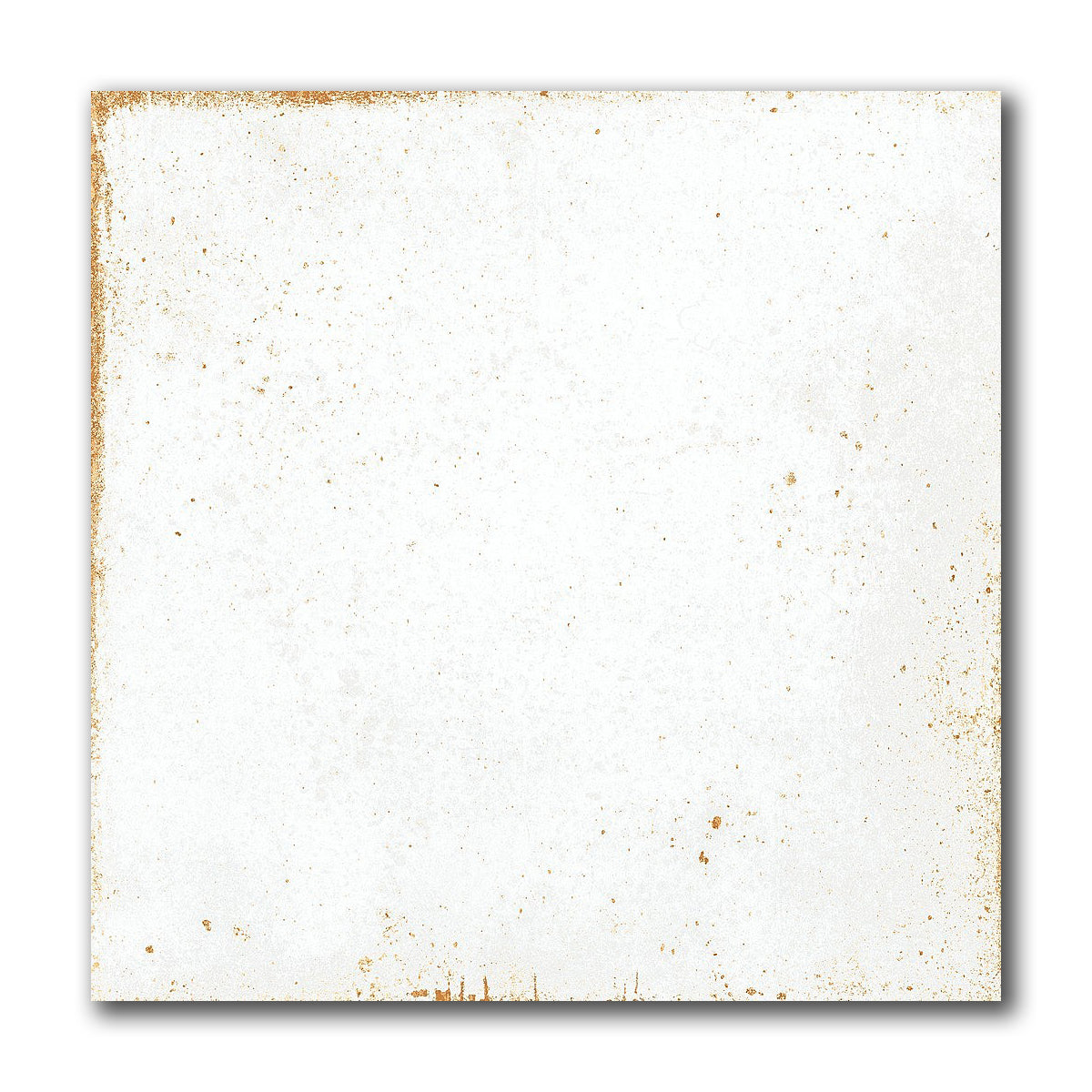 8x8 Perla Bianca Solid Glossy Ceramic Wall Tile - American Tile Depot