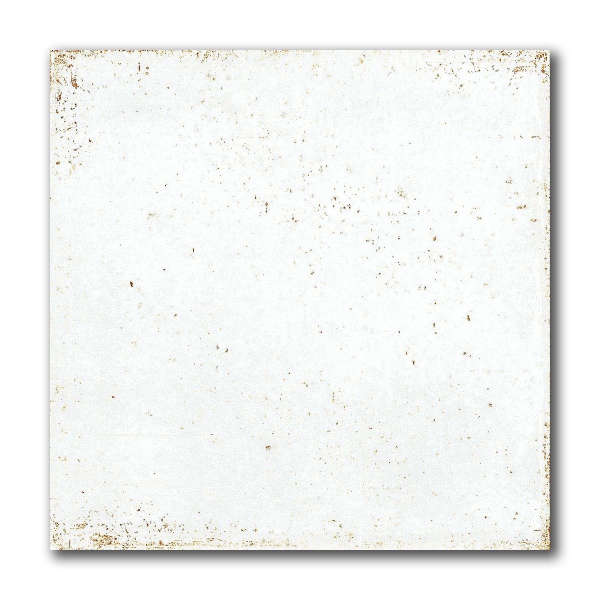 8x8 Perla Bianca Solid Glossy Ceramic Wall Tile - American Tile Depot