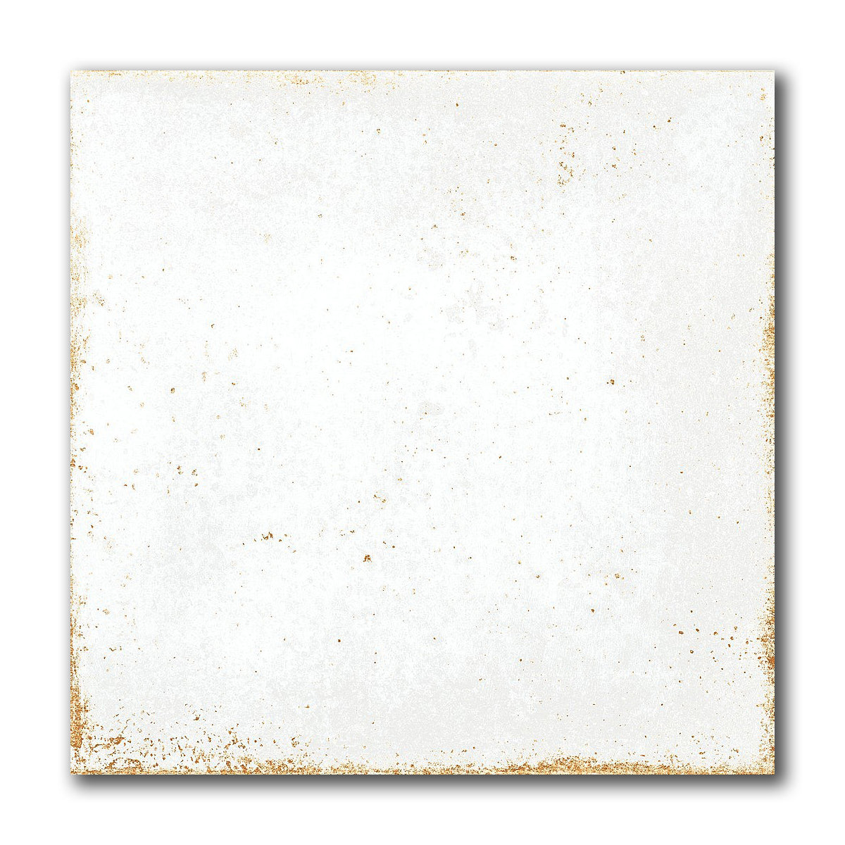 8x8 Perla Bianca Solid Glossy Ceramic Wall Tile - American Tile Depot