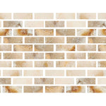Special Cut | 2x6 Antico Onyx Travertine Filled & Honed Tile Special Cut | 2x6 Antico Onyx Travertine Filled & Honed Tile - American Tile Depot