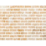 Special Cut | 2x6 Antico Onyx Travertine Filled & Polished Tile Special Cut | 2x6 Antico Onyx Travertine Filled & Polished Tile - American Tile Depot