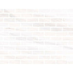 Special Cut | 2x6 Bianco Dolomite Polished Tile Special Cut | 2x6 Bianco Dolomite Polished Tile - American Tile Depot