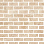 Special Cut | 2x6 Cappuccino Marble Polished Tile Special Cut | 2x6 Cappuccino Marble Polished Tile - American Tile Depot