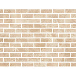 Special Cut | 2x6 Cappuccino Marble Polished Tile Special Cut | 2x6 Cappuccino Marble Polished Tile - American Tile Depot