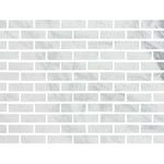 Special Cut | 2x6 Italian Statuary White Marble Honed Tile Special Cut | 2x6 Italian Statuary White Marble Honed Tile - American Tile Depot