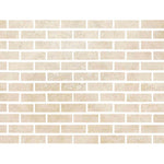 Special Cut | 2x6 Ivory Travertine Filled & Honed Tile - American Tile Depot
