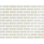 Special Cut | 2x6 Premium White Onyx CROSS-CUT Polished Tile - American Tile Depot