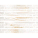 Special Cut | 2x6 Premium White Onyx VEIN-CUT Polished Tile - American Tile Depot