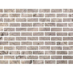 Special Cut | 2x6 Silver Travertine Filled & Honed Tile Special Cut | 2x6 Silver Travertine Filled & Honed Tile - American Tile Depot