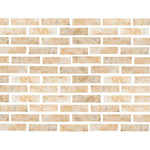 Special Cut | 2x8 Antico Onyx Travertine Filled & Polished Tile Special Cut | 2x8 Antico Onyx Travertine Filled & Polished Tile - American Tile Depot