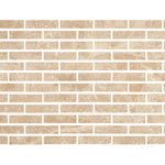 Special Cut | 2x8 Cappuccino Marble Polished Tile Special Cut | 2x8 Cappuccino Marble Polished Tile - American Tile Depot