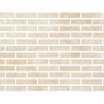 Special Cut | 2x8 Ivory Travertine Filled & Honed Tile - American Tile Depot
