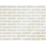 Special Cut | 2x8 Premium White Onyx CROSS-CUT Polished Tile - American Tile Depot