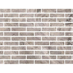 Special Cut | 2x8 Silver Travertine Filled & Honed Tile Special Cut | 2x8 Silver Travertine Filled & Honed Tile - American Tile Depot