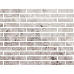 Special Cut | 2x8 Tundra Gray (Atlantic Gray) Marble Polished Tile Special Cut | 2x8 Tundra Gray (Atlantic Gray) Marble Polished Tile - American Tile Depot